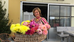 Dahlia show & picking garden at De Tulperij
